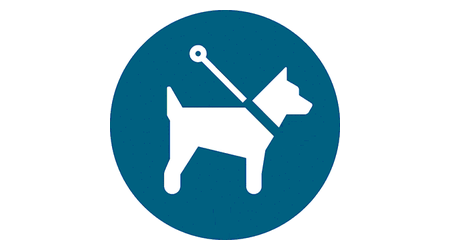 Rappel aux propriétaires de chiens